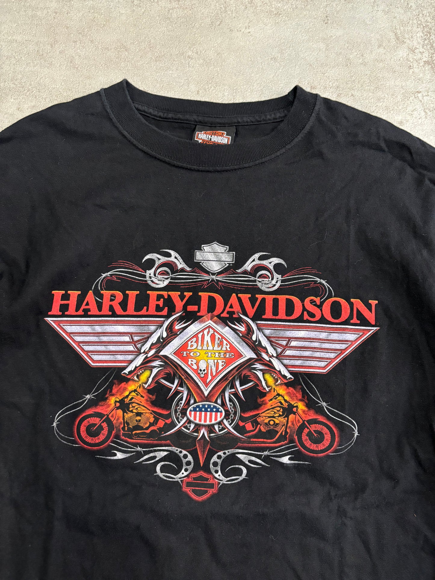 Camiseta Gráfica Harley Davidson Florida - M