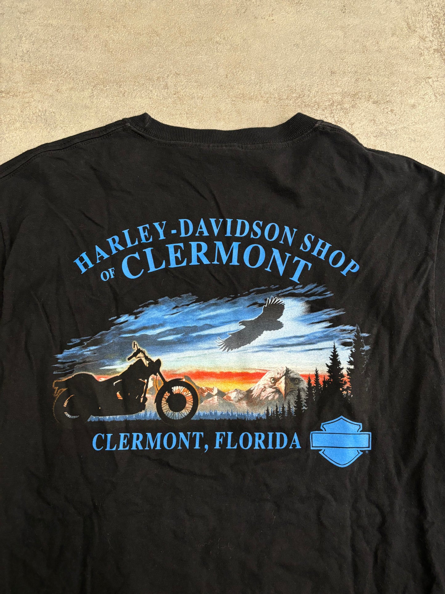 Camiseta Gráfica Harley Davidson Florida - M