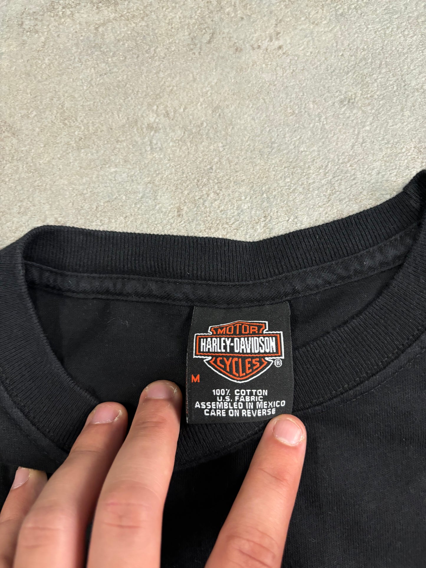Camiseta Gráfica Harley Davidson Florida - M