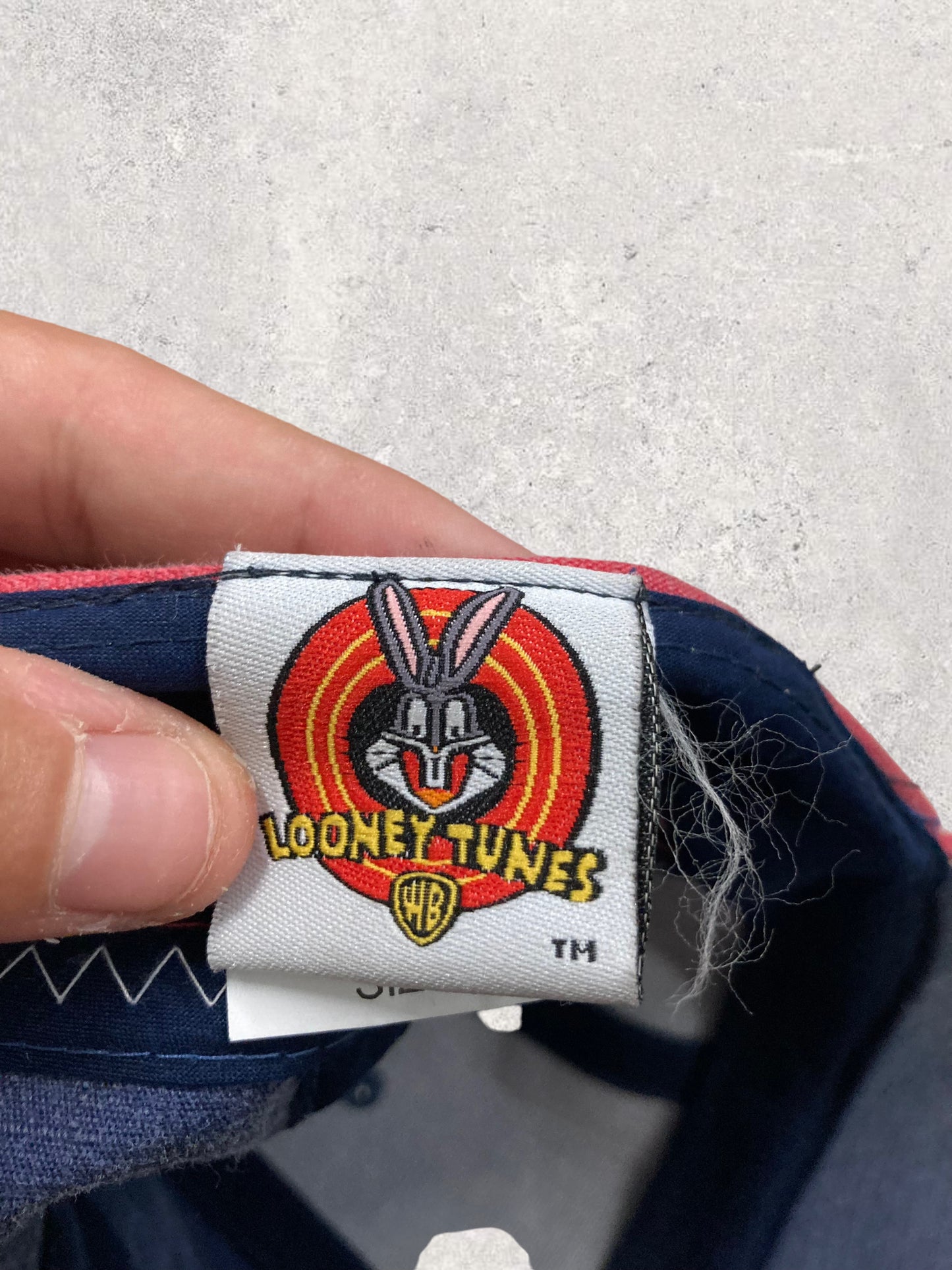 Gorra Looney Tunes Silvestre 2004 ‘Deadstock’ Vintage