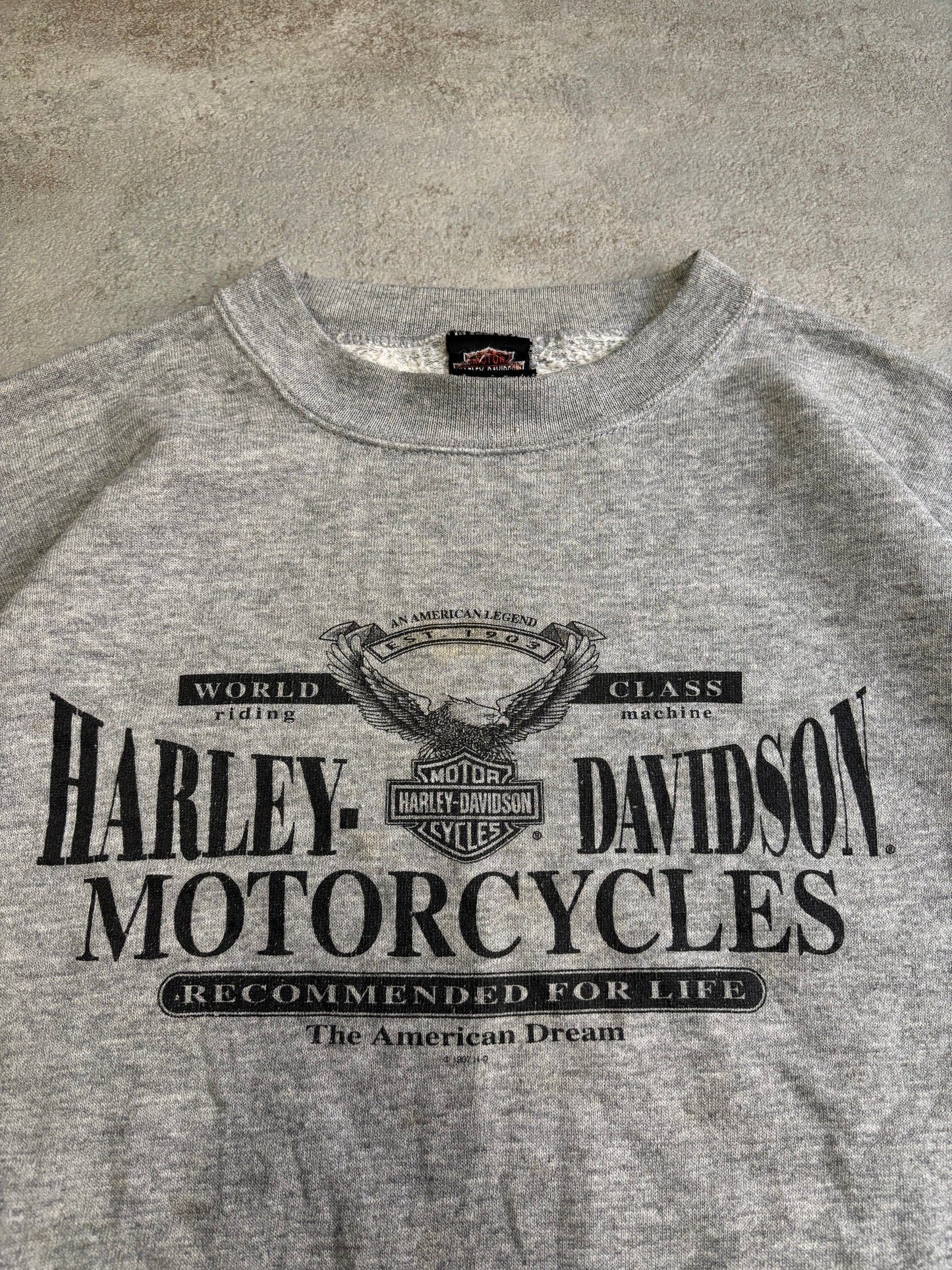 Sudadera Harley Davidson Abingdon 1995 Vintage - L