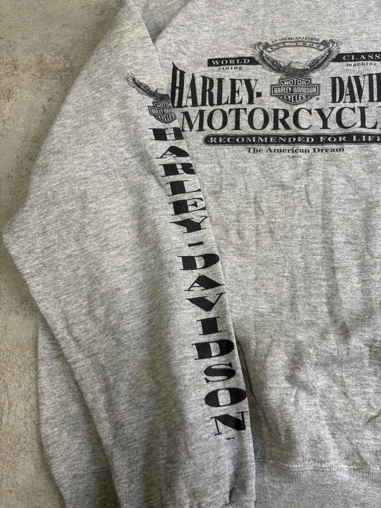 Sudadera Harley Davidson Abingdon 1995 Vintage - L